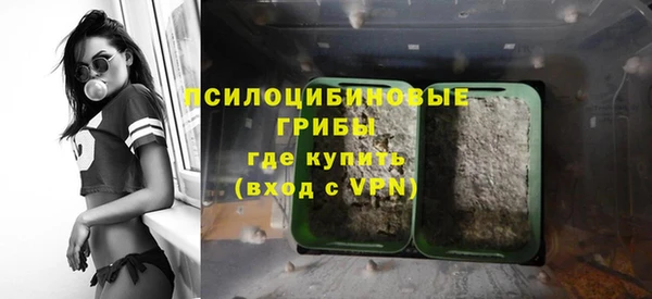 ALPHA PVP Бородино