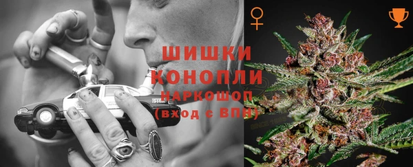 дживик Богданович